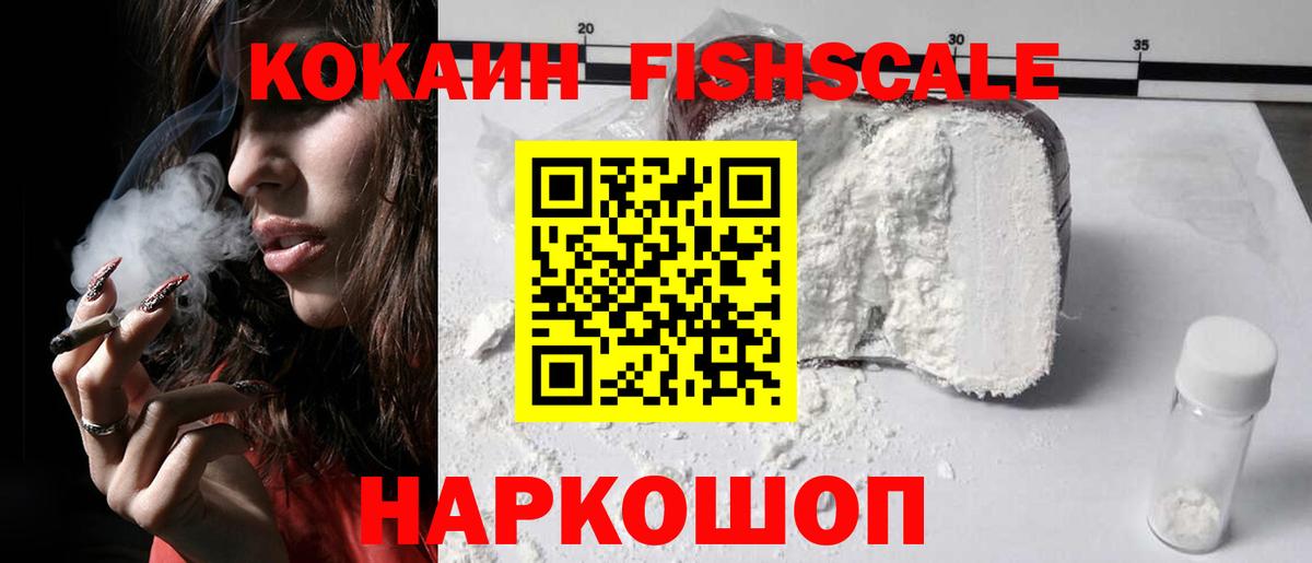 Cocaine Fish Scale  COCAIN Fish Scale  Знаменск  Вход с VPN 