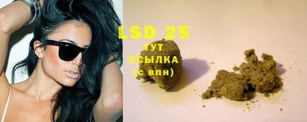 ПСИЛОЦИБИНОВЫЕ ГРИБЫ Вяземский
