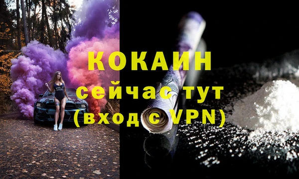 сатива Вязники