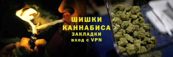 ПСИЛОЦИБИНОВЫЕ ГРИБЫ Вяземский
