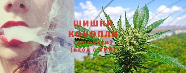 сатива Вязники