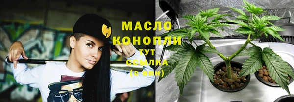 ПСИЛОЦИБИНОВЫЕ ГРИБЫ Вяземский