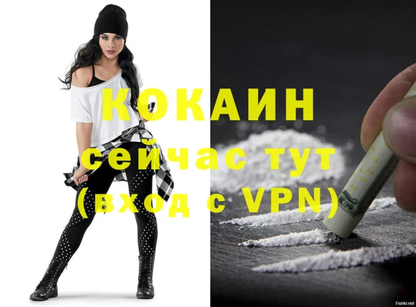 ПСИЛОЦИБИНОВЫЕ ГРИБЫ Вяземский