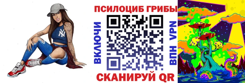 Псилоцибиновые грибы GOLDEN TEACHER  Знаменск 