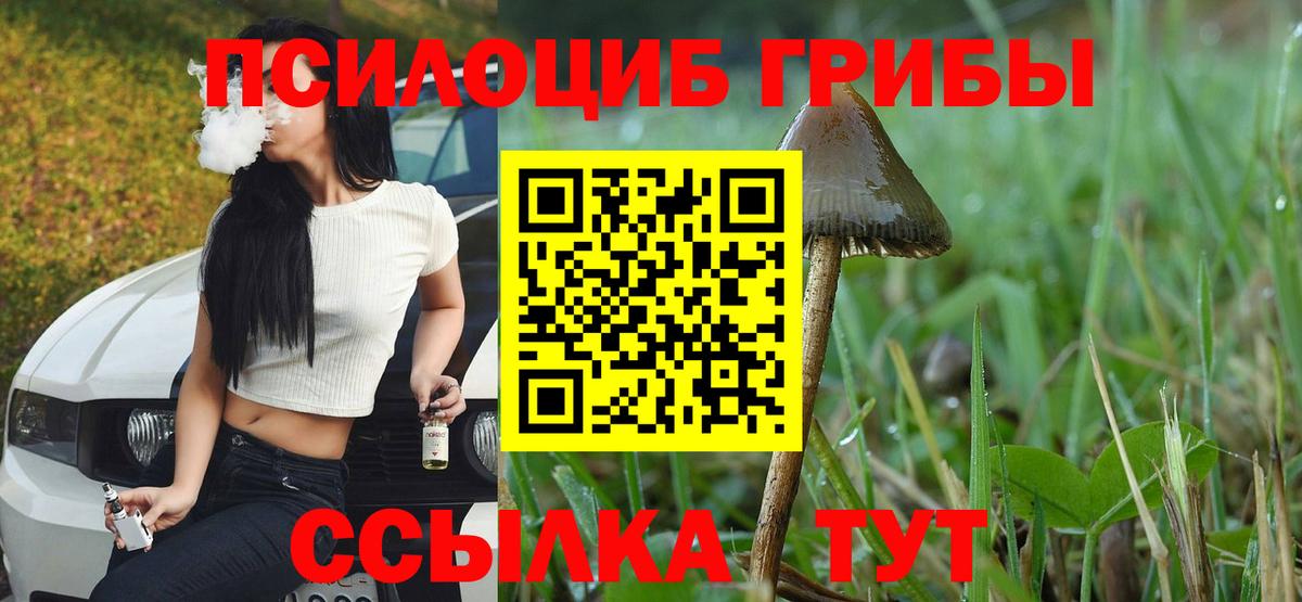 купить наркотик  Галлюциногенные грибы мухоморы  Знаменск  Вход с VPN  Галлюциногенные грибы мицелий 